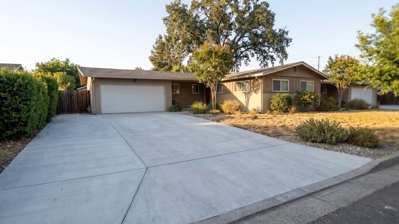 Freshly resurfaced light-grey broom-finish concrete driveway with clean control joints leading to a single-story ranch house, large oak tree and dry summer lawn in warm late-afternoon light